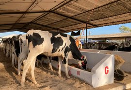 38ª Expo Bacia Leiteira já supera expectativas do setor