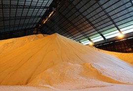 Açúcar de AL foi exportado para nove países