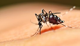 Casos de dengue no Brasil aumentam 240% no primeiro trimestre do ano