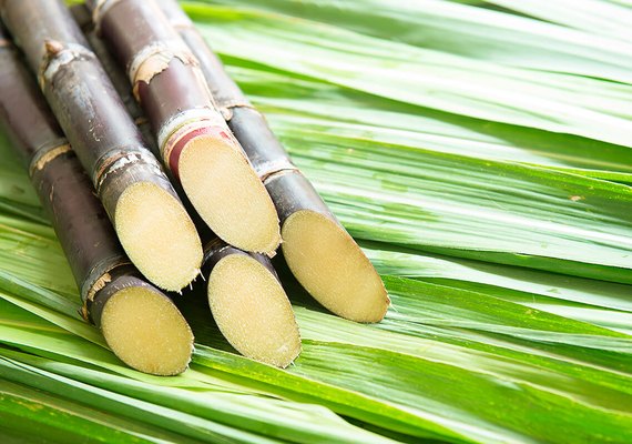 Setor canavieiro reforça retomada do crescimento