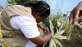 Alagoas registra crescimento de 34,5% no número de casos de dengue