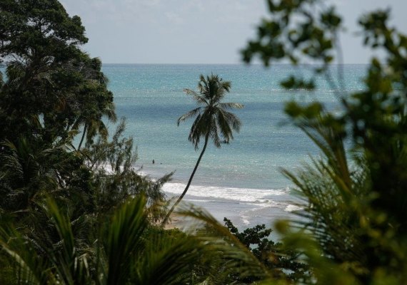Reserva em Japaratinga é nova opção de turismo sustentável