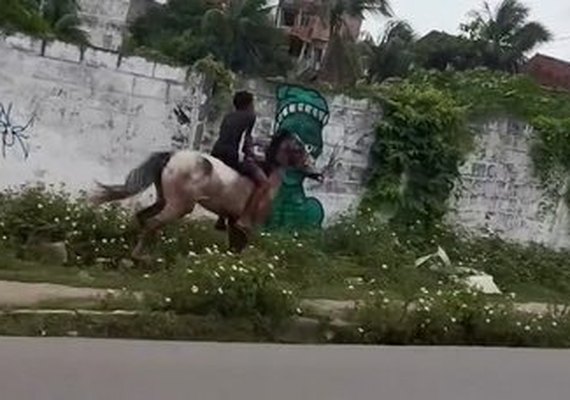 'Eu vou em 60 e ele está em 200': influenciador filma menino disparado a cavalo em via de Maceió