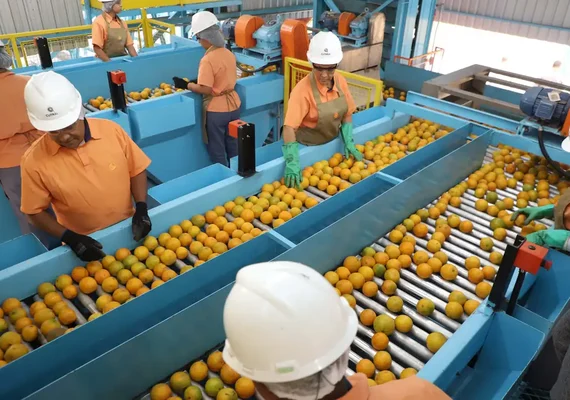 Empresas afetadas por tarifaço podem pedir crédito do Brasil Soberano