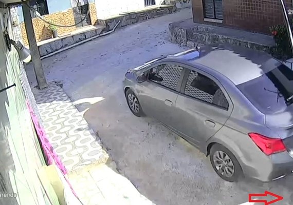 Homem que atropelou cadela em Maceió se apresenta à polícia