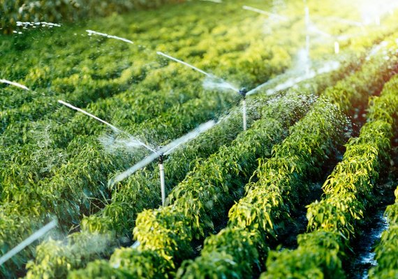 Programa facilitará acesso de agricultores a crédito fundiário