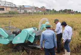 Produtores ganham minicolhedora para impulsionar a rizicultura em AL