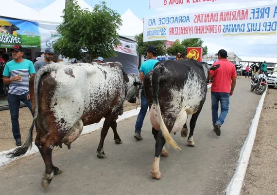 Expo Bacia Leiteira renova parceria com IFAL para 2024