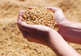 Relatório projeta safra recorde de soja no Brasil