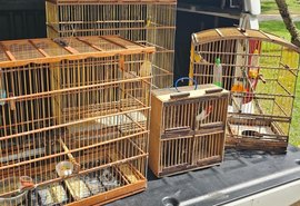 Operação ambiental resgata mais de 50 aves em Alagoas