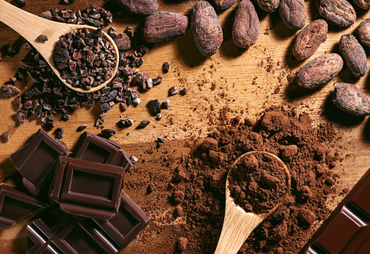 Nova Lei do Chocolate fortalece produção de cacau no Brasil