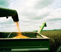 Preço do milho reage no final da colheita no Brasil