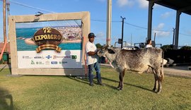 Exposições regionais do gado leiteiro têm início na 72ª Expoagro Alagoas