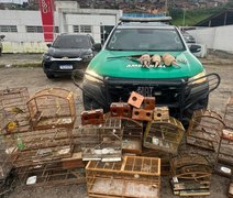 BPA apreende armas e animais silvestres em municípios do interior de Alagoas
