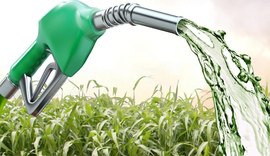 Mais estados obtêm liminar para venda direta de etanol e aumenta pressão sobre ANP e Câmara