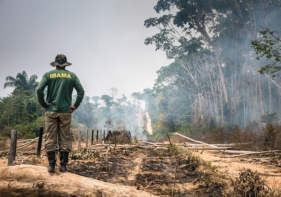 Ambientalistas denunciam desmonte em políticas de proteção ao Meio Ambiente no Brasil