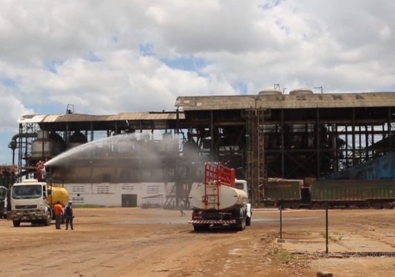 Usina vem trabalhando na perspectiva de expandir seu portfólio