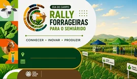 Projeto leva novas tecnologias para alimentação do gado em Alagoas