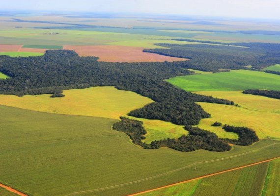 Receita Federal publica nova Instrução Normativa sobre o Valor da Terra Nua por hectare