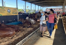 Expoagro-AL prepara edição focada no fortalecimento da pecuária