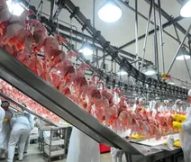 Exportações de carne de frango tendem a crescer 6% este ano