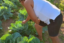 Mulheres são maioria nos financiamentos do Agroamigo em Alagoas