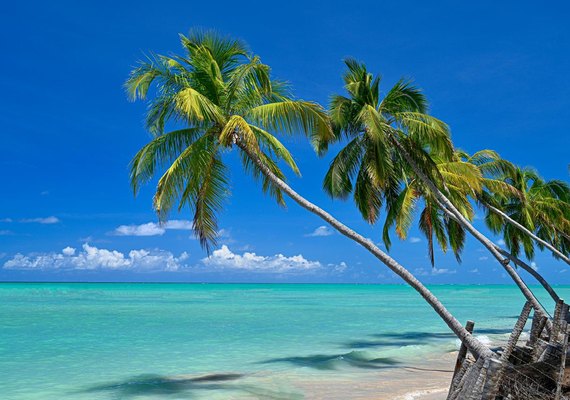 Maragogi é a única cidade de AL na categoria A no Mapa do Turismo Brasileiro