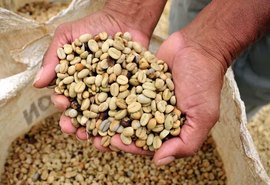 Exportação de produtos atingidos por tarifaço cai 22% em agosto