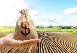 BNDES apresenta medidas de fortalecimento para o agro nesta sexta