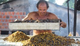 Edital destina R$ 200 mil para iniciativas de economia circular