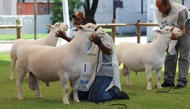 Presidente da Faeal destaca sucesso da Expoalagoas Genética