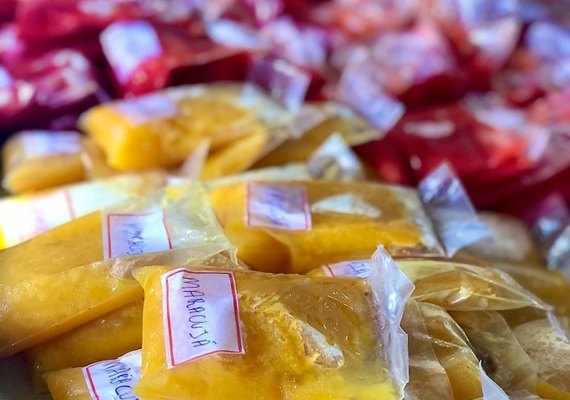 Agricultura familiar em Penedo avança para industrialização de alimentos