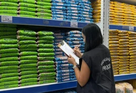 Diferença na cesta básica chega a R$ 104 em Maceió, diz Procon