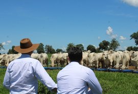Valor Bruto da Produção Agropecuária deve atingir R$ 1,39 tri em 2026