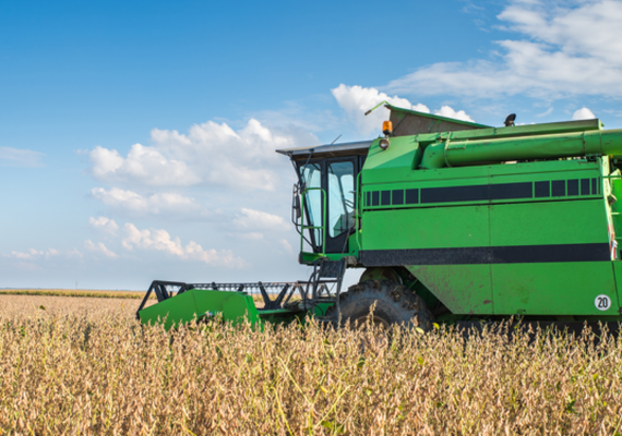 Medidas em prol das cooperativas agro são anunciadas pelo Governo Federal; saiba mais