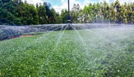 CNA reage a proposta do governo e pede que produtor mantenha escolha do horário do desconto na energia