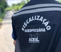 Governo de Alagoas lança concurso da Adeal com salários de R$ 7,3 mil