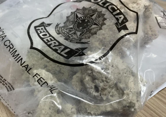 PF intercepta transporte ilegal de corais no aeroporto de Maceió