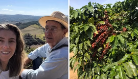 Produtores de café investem no cultivo do grão com menor teor de cafeína