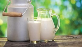 Preço do leite ao produtor registrou a quinta alta consecutiva