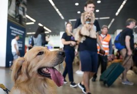 Governo Federal lança Plano de Transporte Aéreo de Animais