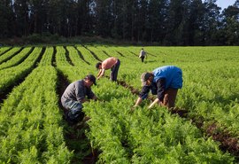 Entidades denunciam descaso com a agricultura familiar