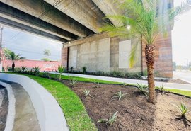 Prefeitura de Maceió é proibida de usar arquitetura hostil em obras do município