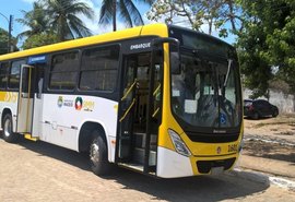Nova linha alimentadora começa a operar em Cruz das Almas a partir de segunda-feira