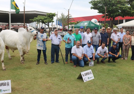 Raça Nelore ganha destaque com Exposição Regional durante a 72ª Expoagro Alagoas