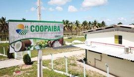 Coopaiba mantém ritmo industrial e estoque de 50 toneladas em Piaçabuçu