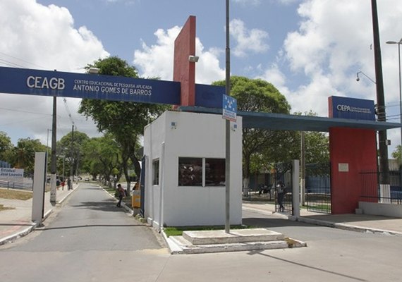 Comissão receberá proposta para remediação dos impactos do afundamento do solo na Educação