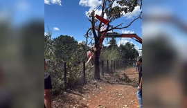 Aeronave da dupla Henrique e Juliano cai em fazenda no Tocantins