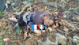 Homem é morto após criminosos invadirem casa durante a madrugada no Frei Damião
