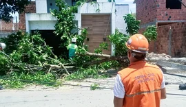 Defesa Civil registra três ocorrências após ventos fortes em Maceió